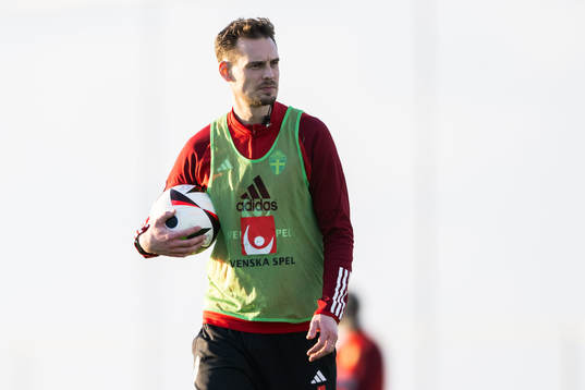 Interim coach Daniel Bäckström of the Swedish men's