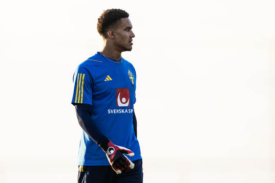 Goalkeeper Oliver Dovin of the Swedish men's football