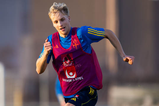 Victor Larsson of the Swedish men's football national team