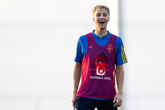 Victor Larsson of the Swedish men's football national team