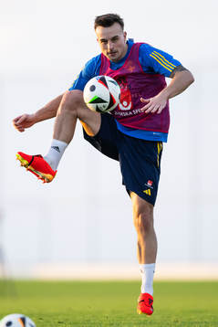 Henrik Castegren of the Swedish men's football national