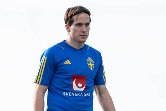 Johan Karlsson of the Swedish men's football national team