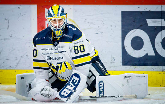 HV71s målvakt Frederik Dichow