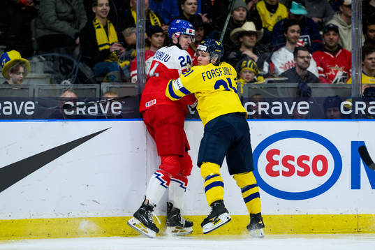 Matyas Sapovaliv of Czech Republic and Zeb Forsfjäll of