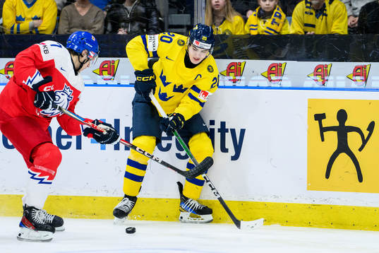 Tomas Cibulka of Czech Republic and Liam Öhgren of Sweden