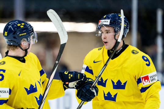 Otto Stenberg and Theo Lindstein of Sweden celebrate the
