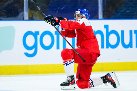 Tomas Cibulka of Czech Republic celebrates the 2-2 goal