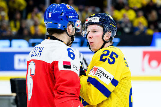 Ales Cech of Czech Republic and Otto Stenberg of Sweden