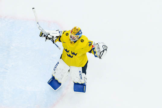 goaltender Hugo Hävelid of Sweden celebrates