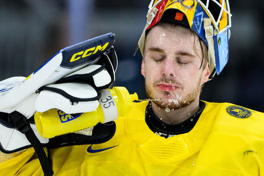goaltender Hugo Hävelid of Sweden