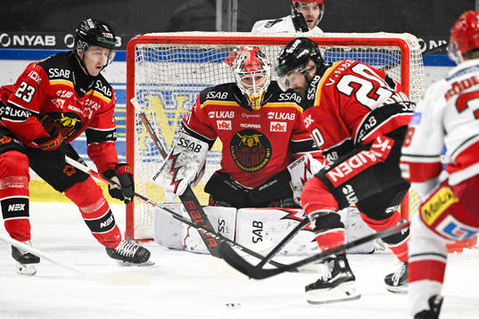 Luleås målvakt Matteus Ward