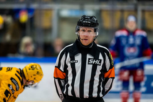 Domare Mikael Holm