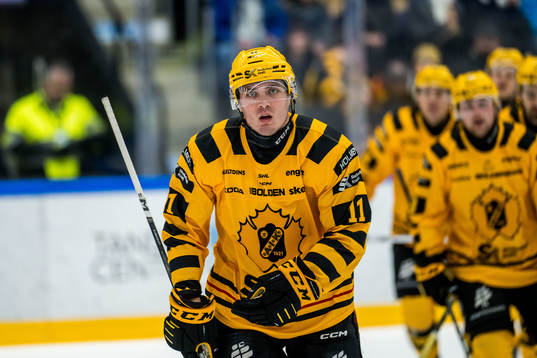 Skellefteås Max Lindholm jublar