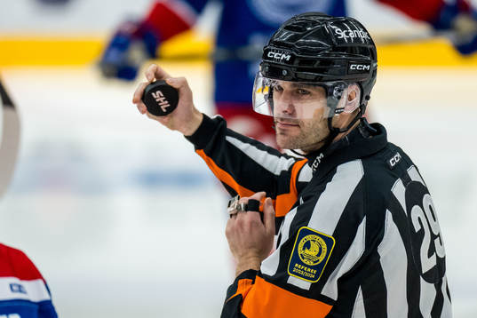 Domare Richard Magnusson
