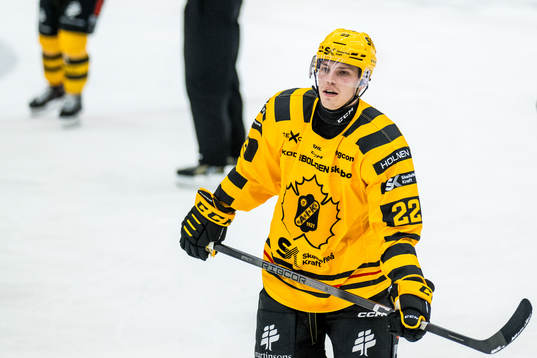 Skellefteås Jonathan Johnson deppar