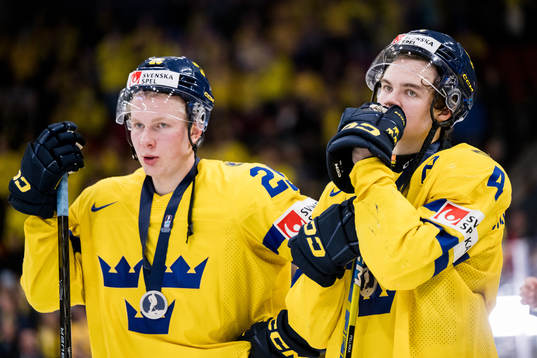 Otto Stenberg and Axel Sandin-Pellikka of Sweden look