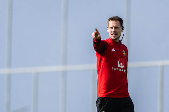 Interim coach Daniel Bäckström of the Swedish men's