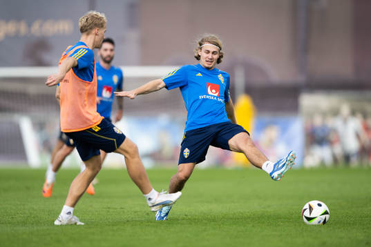 Sebastian Nanasi of the Swedish men's football national