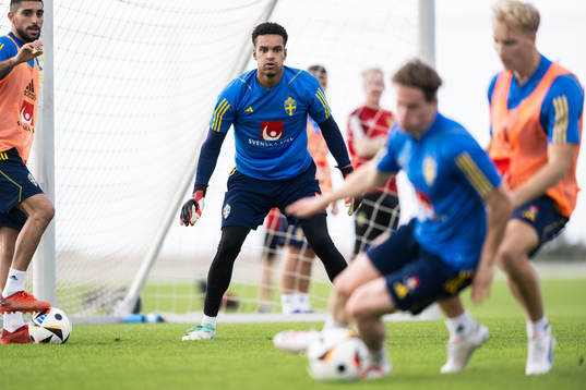 goalkeeper Oliver Dovin of the Swedish men's football