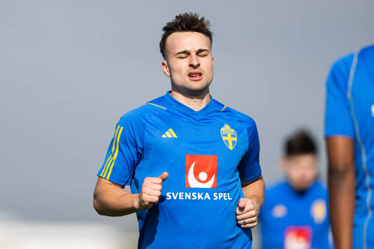 Henrik Castegren of the Swedish men's football national