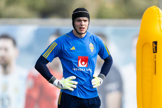 Goalkeeper Jacob Widell Zetterström of the Swedish men's