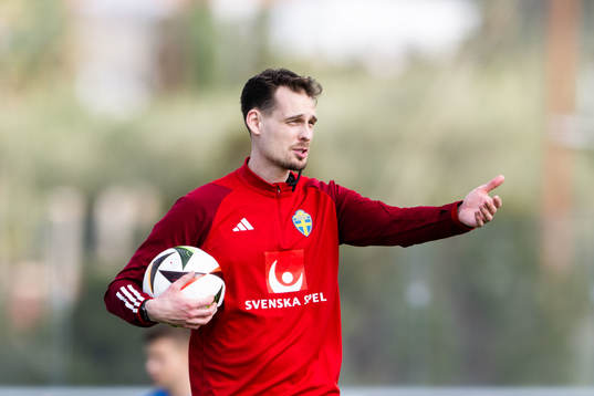 Interim coach Daniel Bäckström of the Swedish men's