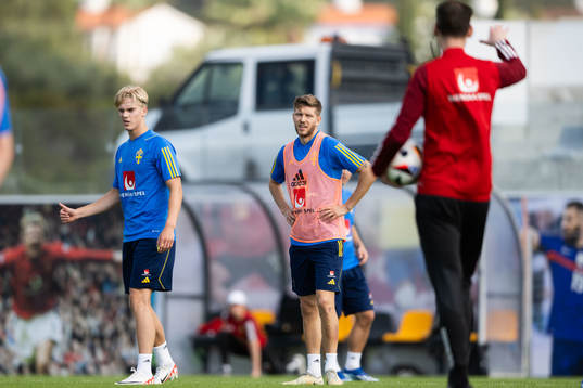 Lucas Bergvall and Anton Salétros of the Swedish men's