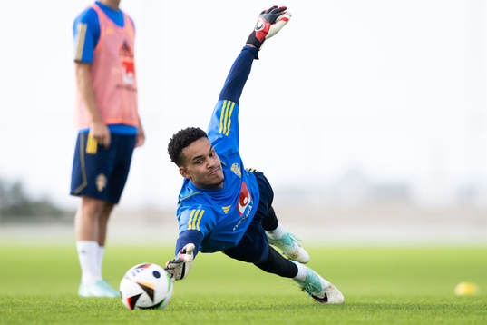 Goalkeeper Oliver Dovin of the Swedish men's football