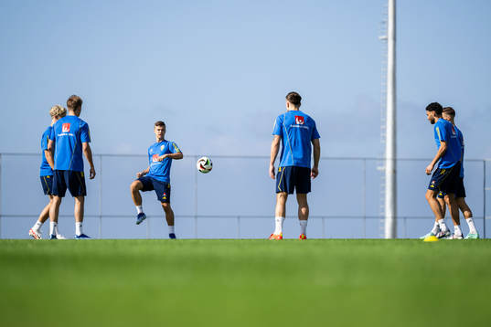 Samuel Dahl of the Swedish men's football national team at