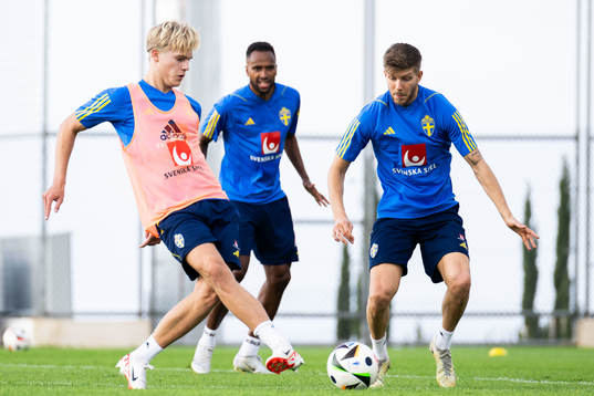 Lucas Bergvall and Anton Salétros of the Swedish men's