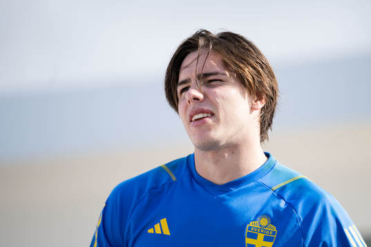 Goalkeeper Jacob Widell Zetterström of the Swedish men's