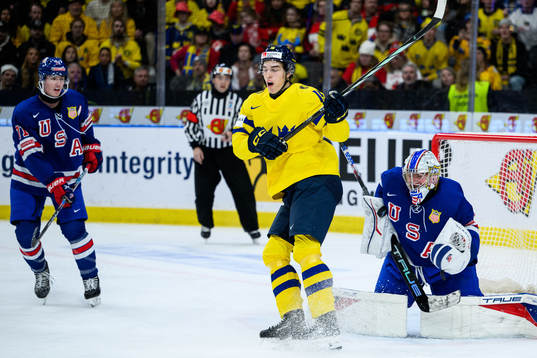 David Edstrom of Sweden and goaltender Trey Augustine of USA
