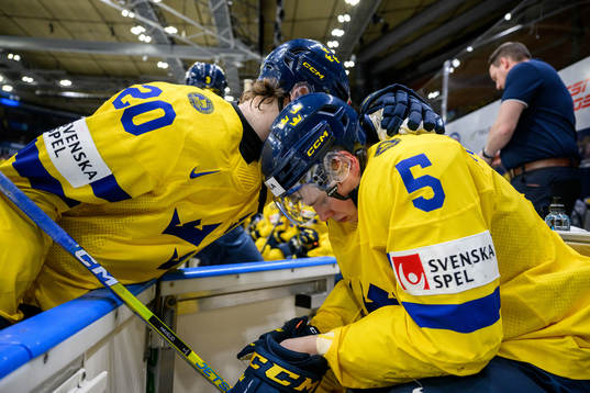 Mattias Hävelid and Liam Öhgren of Sweden look dejected