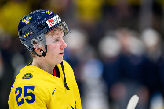 Otto Stenberg of Sweden looks dejected