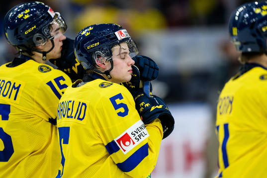 Mattias Hävelid of Sweden looks dejected