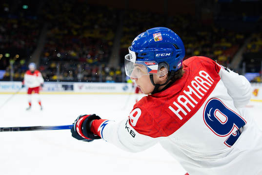 Tomas Hamara of Czech Republic