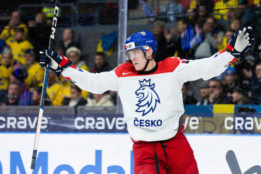 Marek Alscher of Czech Republic celebrates the 2-2 goal