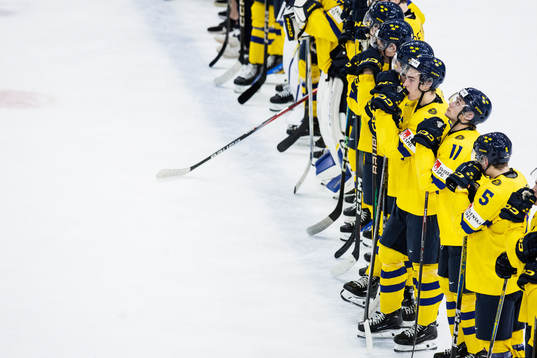David Edstrom and Isac Born of Sweden look dejected