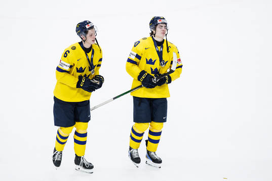Anton Johansson and Liam Öhgren of Sweden look dejected