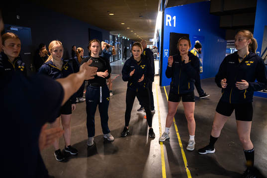 Players of Sweden