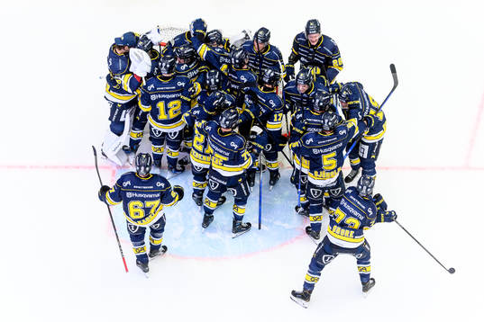 HV71s spelare jublar