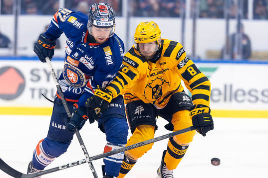 Växjös Manuel Ågren och Skellefteås Petter Granberg