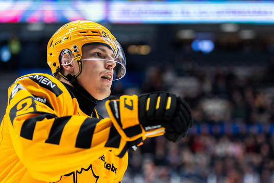 Skellefteås Andreas Johnson jublar