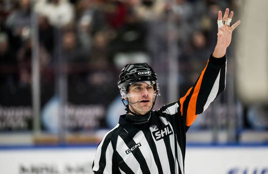 Domare Richard Magnusson