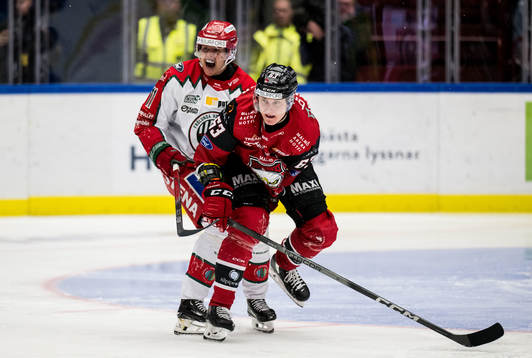 Frölundas Erik Borg och Malmö Redhawks Fredrik Händemark
