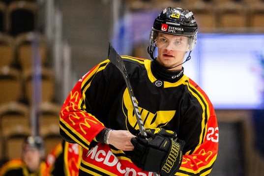 Västerås Adam Hofbauer