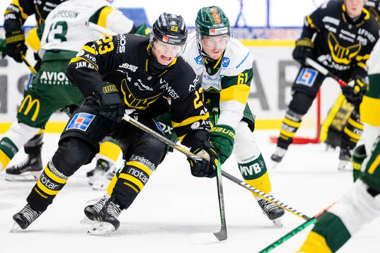 Västerås Adam Hofbauer och Björklövens Malte Sjögren