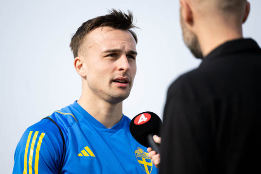 Henrik Castegren of the Swedish men's football national