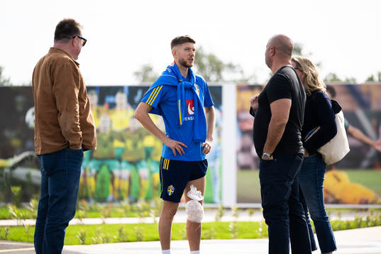 Anton Salétros of the Swedish men's football national team