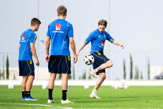 Oscar Pettersson of the Swedish men's football national